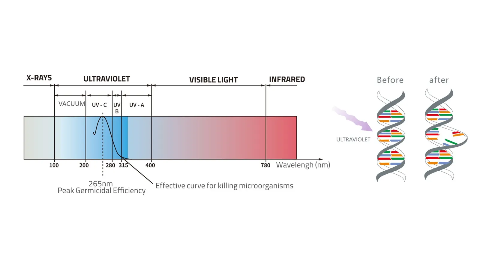 Is Your Tap Water Truly Safe? The Evolution of Deep UV LED Technology in European Drinking Water